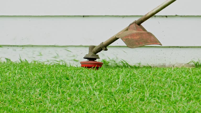 Best Sod Installation  in Collings Lakes, NJ